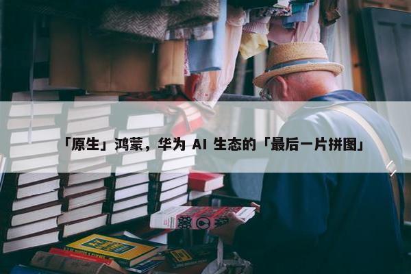 「原生」鸿蒙，华为 AI 生态的「最后一片拼图」