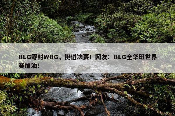 BLG零封WBG，挺进决赛！网友：BLG全华班世界赛加油！