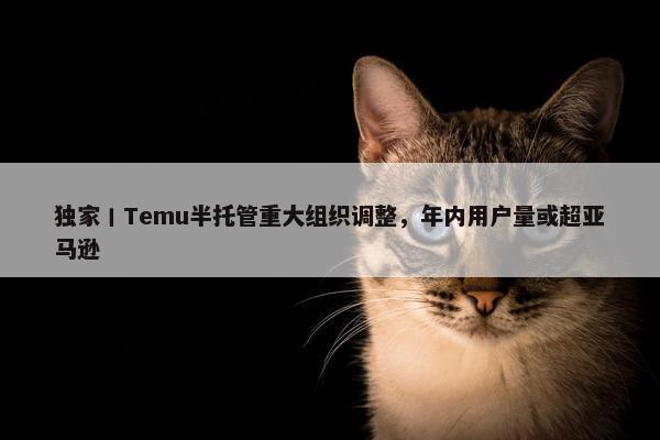 独家丨Temu半托管重大组织调整，年内用户量或超亚马逊