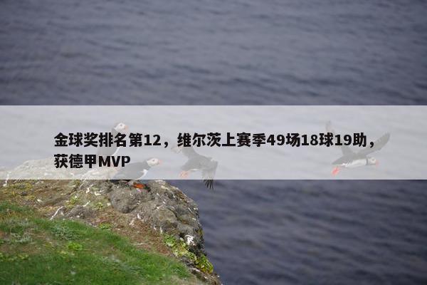 金球奖排名第12，维尔茨上赛季49场18球19助，获德甲MVP