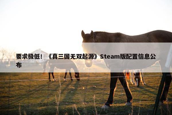 要求极低！《真三国无双起源》Steam版配置信息公布