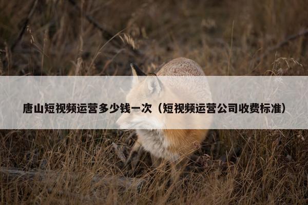 唐山短视频运营多少钱一次（短视频运营公司收费标准）