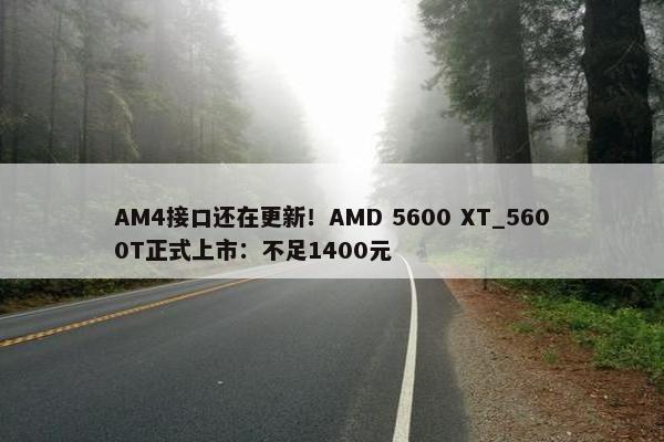 AM4接口还在更新！AMD 5600 XT_5600T正式上市：不足1400元