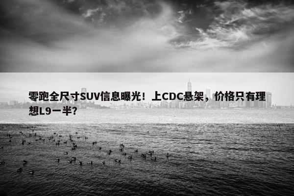 零跑全尺寸SUV信息曝光！上CDC悬架，价格只有理想L9一半？