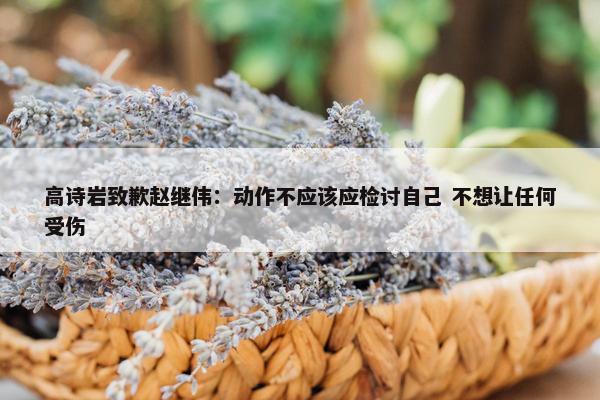 高诗岩致歉赵继伟：动作不应该应检讨自己 不想让任何受伤