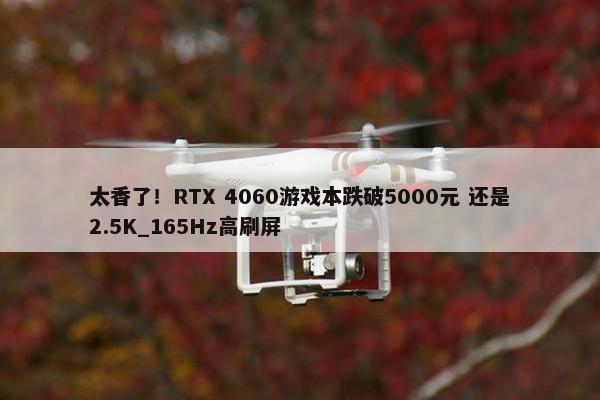 太香了！RTX 4060游戏本跌破5000元 还是2.5K_165Hz高刷屏