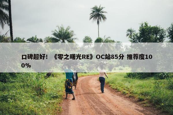 口碑超好！《零之曙光RE》OC站85分 推荐度100%