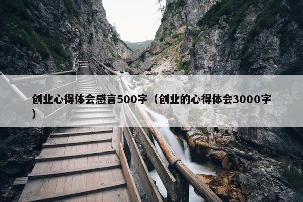 创业心得体会感言500字（创业的心得体会3000字）