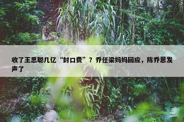 收了王思聪几亿“封口费”？乔任梁妈妈回应，陈乔恩发声了