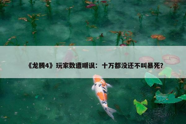 《龙腾4》玩家数遭嘲讽：十万都没还不叫暴死？