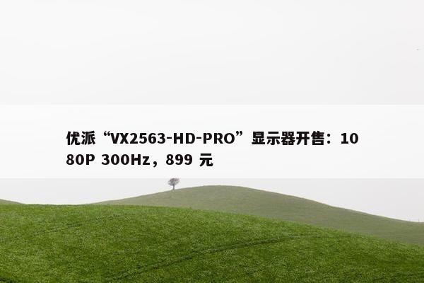 优派“VX2563-HD-PRO”显示器开售：1080P 300Hz，899 元