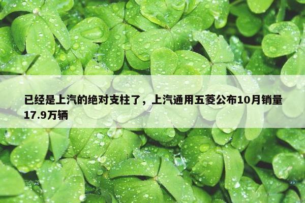 已经是上汽的绝对支柱了，上汽通用五菱公布10月销量17.9万辆