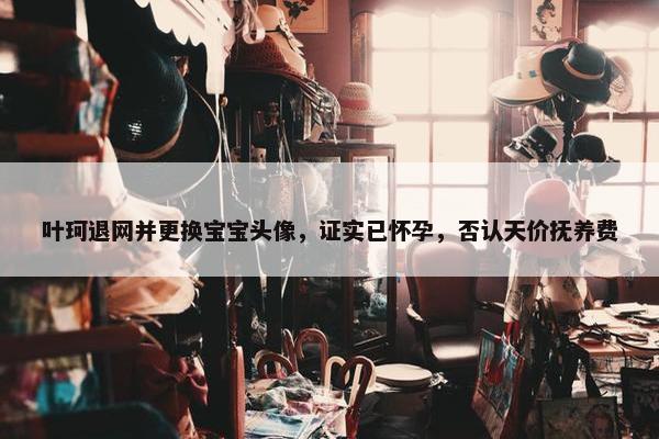 叶珂退网并更换宝宝头像，证实已怀孕，否认天价抚养费