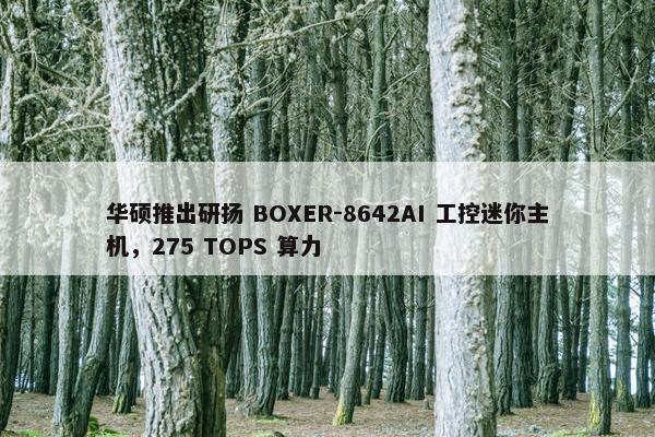 华硕推出研扬 BOXER-8642AI 工控迷你主机，275 TOPS 算力