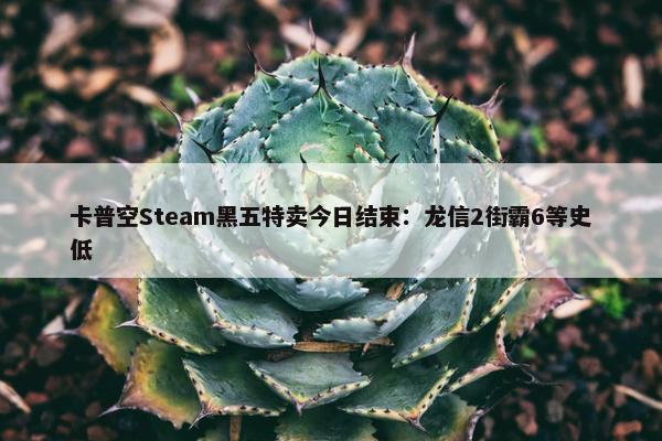 卡普空Steam黑五特卖今日结束：龙信2街霸6等史低