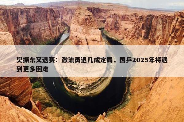 樊振东又退赛：激流勇退几成定局，国乒2025年将遇到更多困难