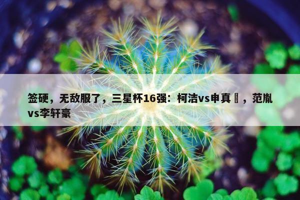 签硬，无敌服了，三星杯16强：柯洁vs申真谞，范胤vs李轩豪