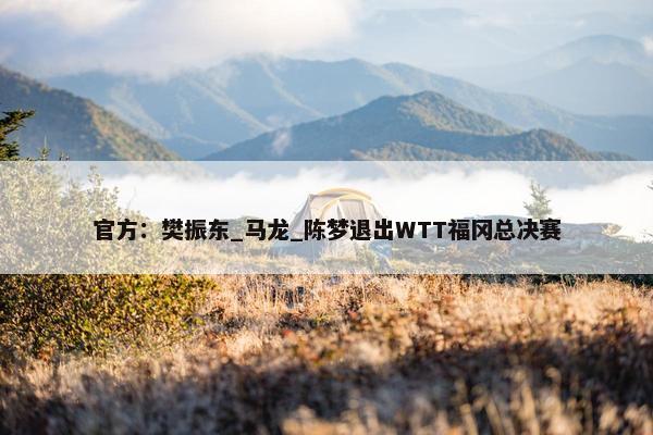 官方：樊振东_马龙_陈梦退出WTT福冈总决赛