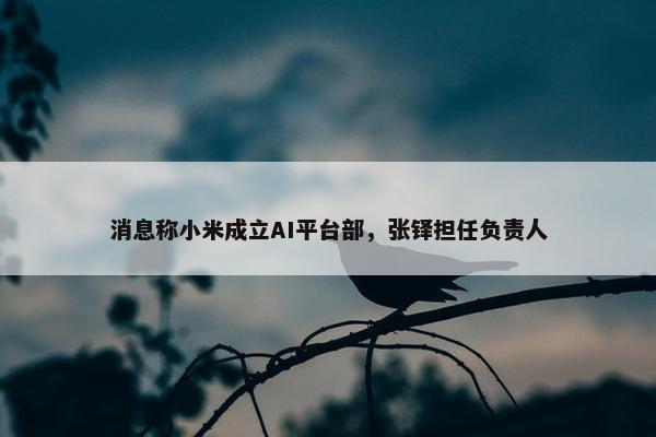 消息称小米成立AI平台部，张铎担任负责人