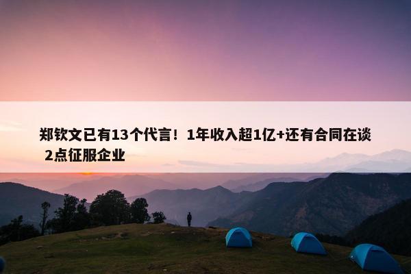 郑钦文已有13个代言！1年收入超1亿+还有合同在谈 2点征服企业