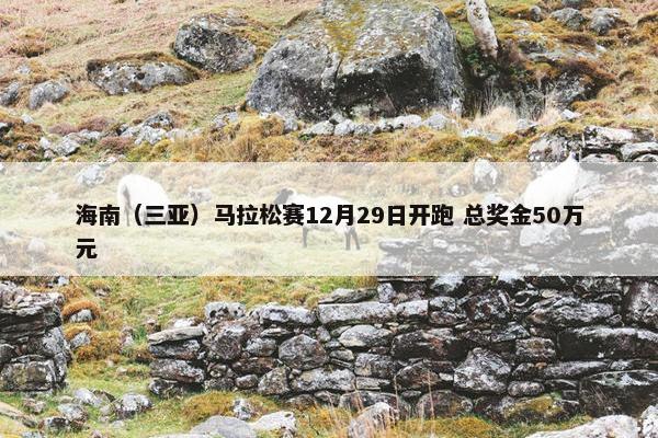 海南（三亚）马拉松赛12月29日开跑 总奖金50万元