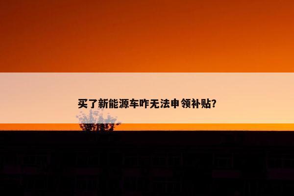 买了新能源车咋无法申领补贴？