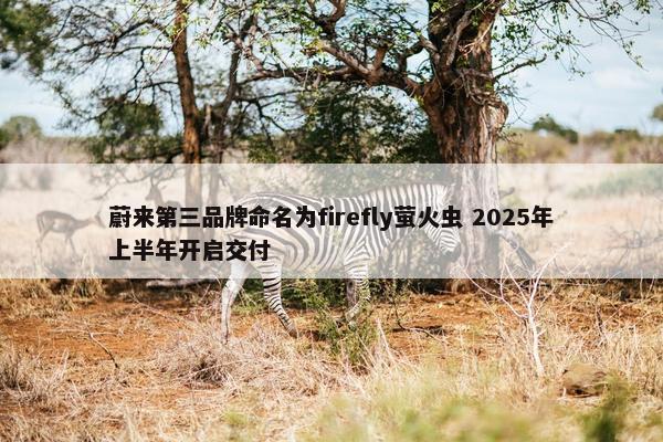 蔚来第三品牌命名为firefly萤火虫 2025年上半年开启交付