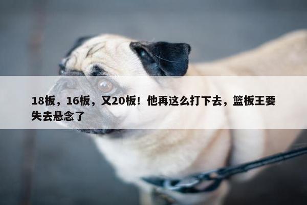 18板，16板，又20板！他再这么打下去，篮板王要失去悬念了