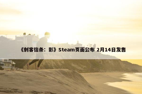 《刺客信条：影》Steam页面公布 2月14日发售