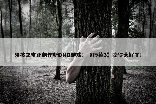 曝孩之宝正制作新DND游戏：《博德3》卖得太好了！