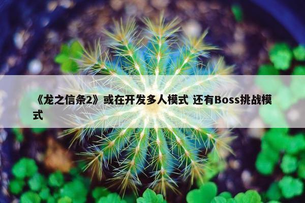 《龙之信条2》或在开发多人模式 还有Boss挑战模式