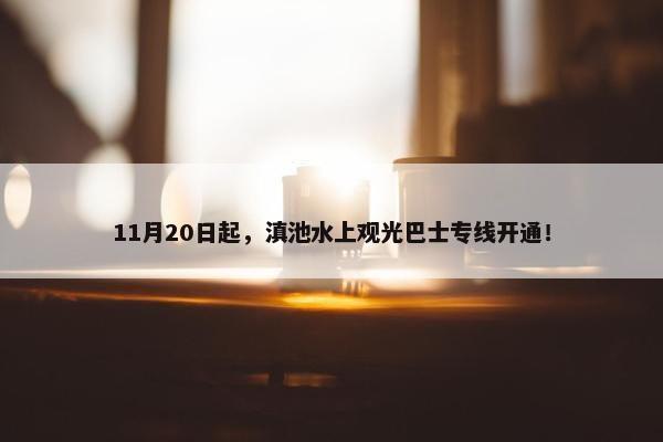 11月20日起，滇池水上观光巴士专线开通！