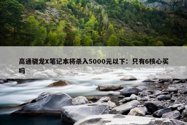 高通骁龙X笔记本将杀入5000元以下：只有6核心买吗