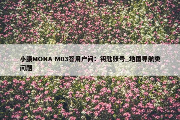 小鹏MONA M03答用户问：钥匙账号_地图导航类问题