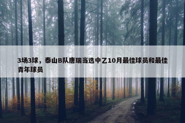 3场3球，泰山B队唐瑞当选中乙10月最佳球员和最佳青年球员