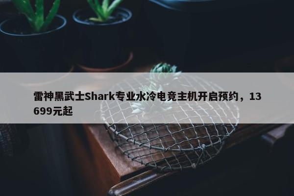 雷神黑武士Shark专业水冷电竞主机开启预约，13699元起