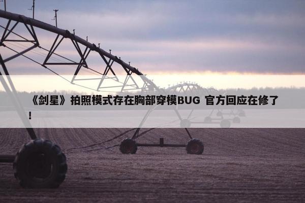 《剑星》拍照模式存在胸部穿模BUG 官方回应在修了！