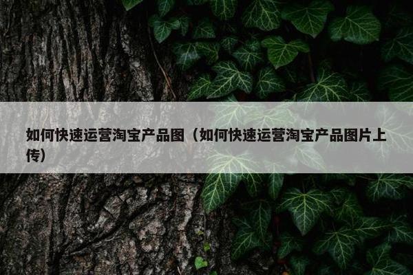 如何快速运营淘宝产品图（如何快速运营淘宝产品图片上传）