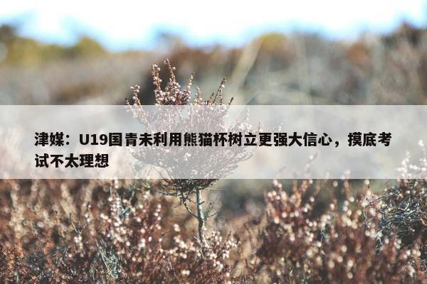 津媒：U19国青未利用熊猫杯树立更强大信心，摸底考试不太理想