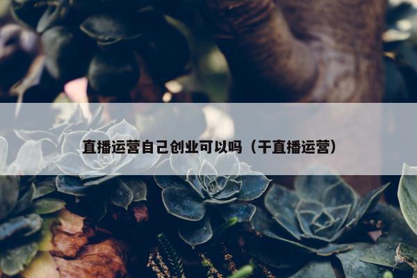 直播运营自己创业可以吗（干直播运营）