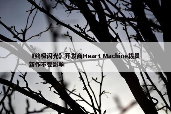 《终极闪光》开发商Heart Machine裁员 新作不受影响