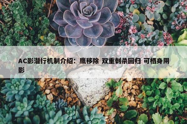 AC影潜行机制介绍：鹰移除 双重刺杀回归 可栖身阴影