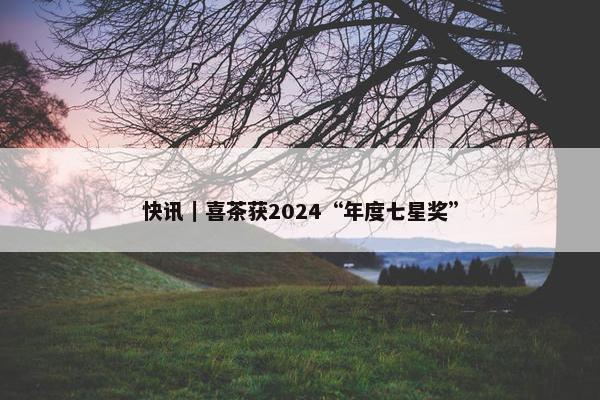 快讯｜喜茶获2024“年度七星奖”