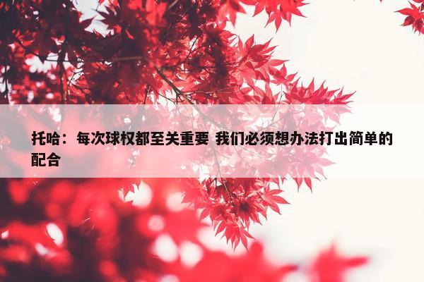 托哈：每次球权都至关重要 我们必须想办法打出简单的配合