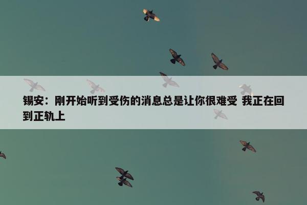 锡安：刚开始听到受伤的消息总是让你很难受 我正在回到正轨上