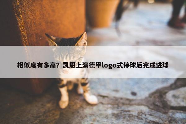 相似度有多高？凯恩上演德甲logo式停球后完成进球