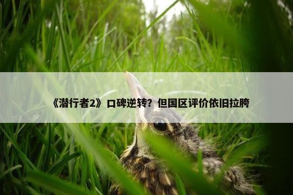 《潜行者2》口碑逆转？但国区评价依旧拉胯