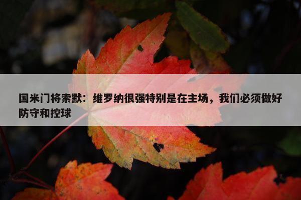 国米门将索默：维罗纳很强特别是在主场，我们必须做好防守和控球