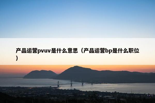 产品运营pvuv是什么意思（产品运营bp是什么职位）