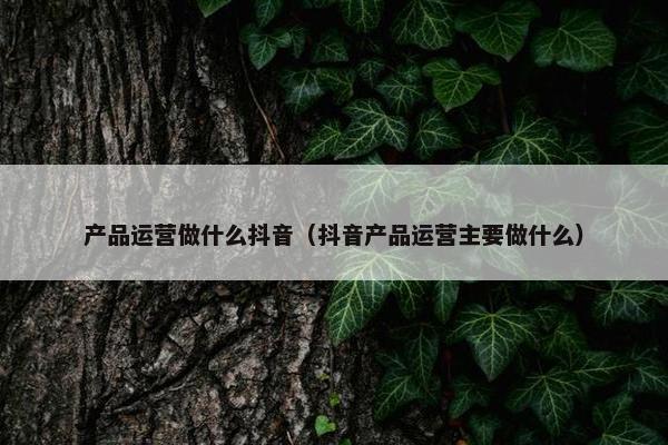 产品运营做什么抖音（抖音产品运营主要做什么）